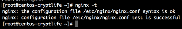 Nginx Test for Configuration File